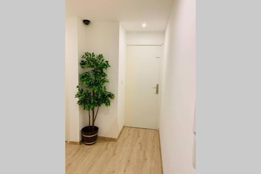 Provence Appartement Маноск Экстерьер фото